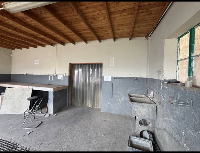 1,000M² WAREHOUSE TO LET IN WYNBERG